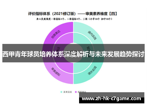 西甲青年球员培养体系深度解析与未来发展趋势探讨